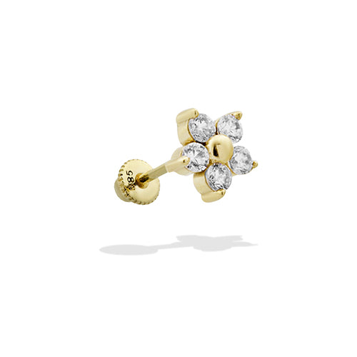 Bloom Radiance Piercing